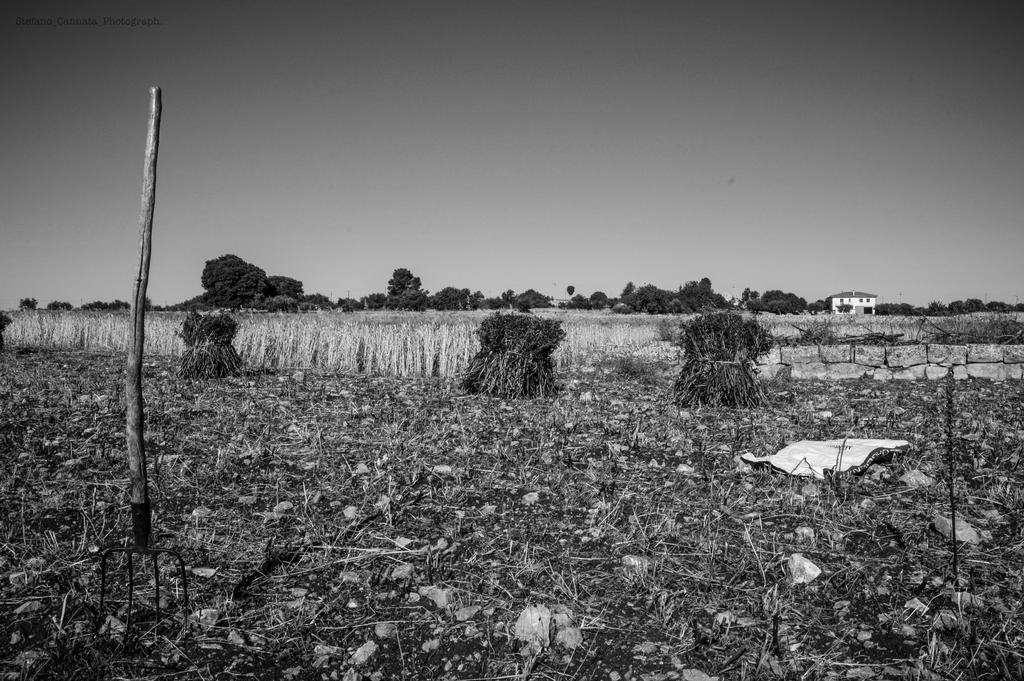 Agriturismo Il Melograno Cannizzara Eksteriør bilde